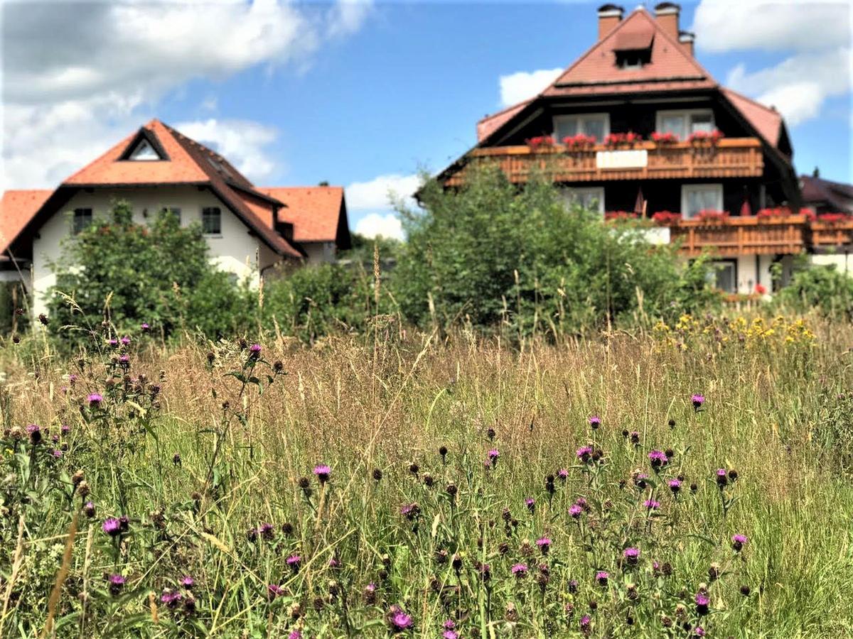Hotel Zartenbach Hinterzarten Ngoại thất bức ảnh